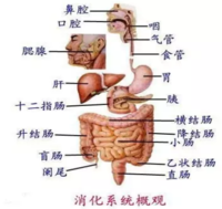 2345截图20220609081134.png
